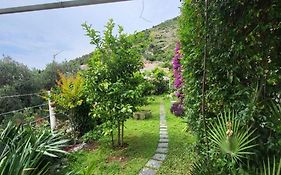 Greengarden
